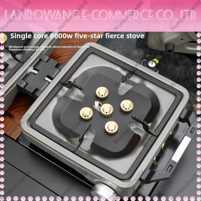Outdoor Dual Burner High Power - огляд і ціна Camping Cooking Appliances